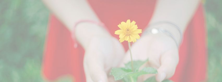 El cuidado mutuo y el autocuidado: pilares para un Trabajo Social sostenible